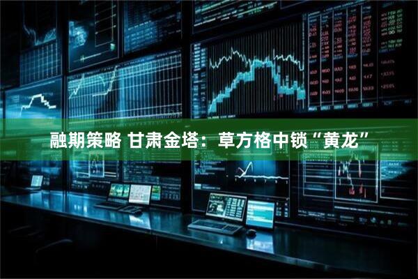 融期策略 甘肃金塔：草方格中锁“黄龙”