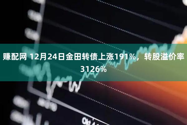 赚配网 12月24日金田转债上涨191%，转股溢价率3126%