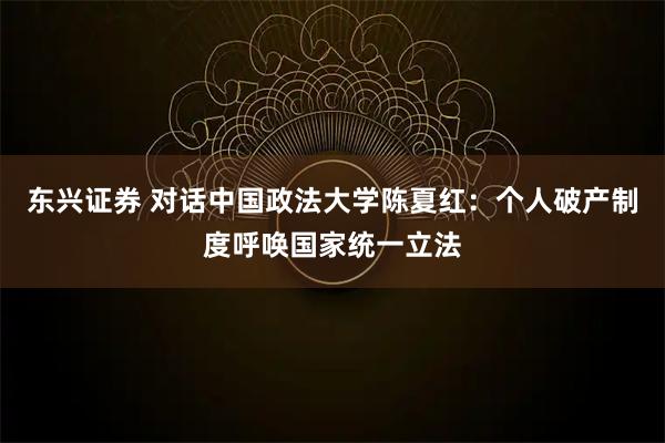 东兴证券 对话中国政法大学陈夏红：个人破产制度呼唤国家统一立法
