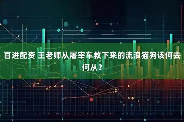 百进配资 王老师从屠宰车救下来的流浪猫狗该何去何从？